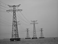 -宝安西湾红树林湿地公园