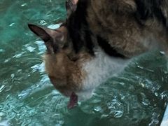 -泰州凤城河风景区-泰山公园