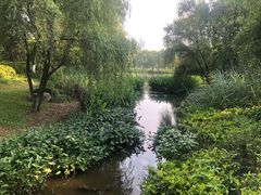 -美丽洲堂