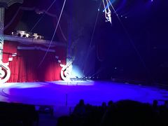 -珠海横琴长隆《卡卡虎奇遇记》