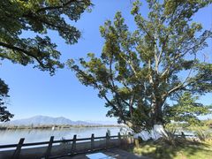 -西昌邛海湿地-月亮湾景区