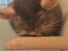 -龙猫仔乐园(惠福东路店)