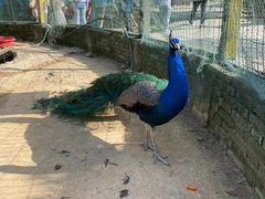 -武汉紫薇都市田园