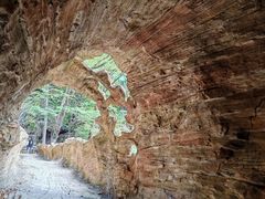 -凤凰山国家森林公园