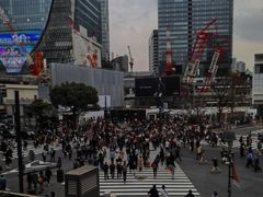 -涩谷全向十字路口