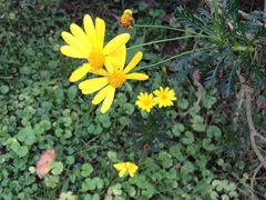 -白鹭湾湿地公园