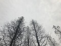 -圩墩遗址公园