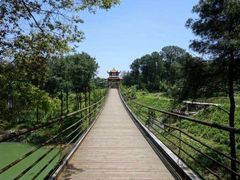 -铁山坪森林公园