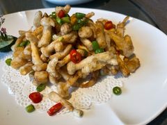 烧汁香菌元贝-碧丽宫大酒店(召稼楼店)