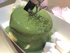 -狐狸和向日葵(北京路店)