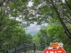 -紫金山山顶公园