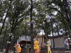 -沂蒙山旅游区云蒙景区(蒙山国家森林公园)