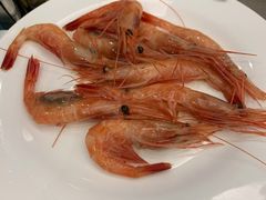 -瑞安辰茂阳光酒店自助餐