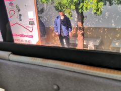 -龙口南山旅游景区