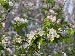 -海棠花溪(元大都城垣遗址公园)
