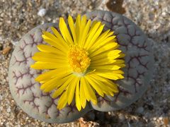 -上海市黄浦区香山中医医院