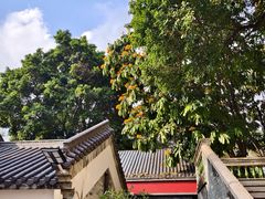 -广州神农草堂中医药博物馆