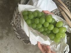 -马陆小张葡萄园农家乐