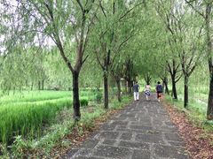-长兴太湖图影湿地文化园