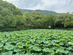 -兰亭风景区