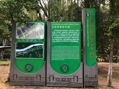 -长白岛森林公园