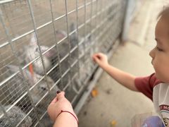 -歌斐颂巧克力小镇