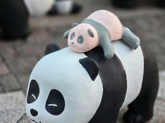 -星光大道