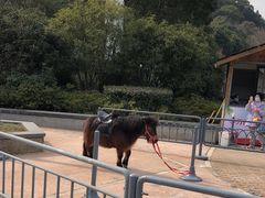 -无锡动物园·太湖欢乐园