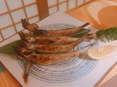 -酒井酱子·深夜食堂(东城汇店)