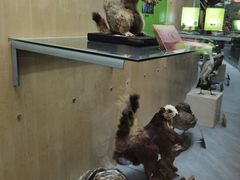 -陕西自然博物馆