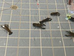 -虾胡闹龙虾馆(湄南河店)