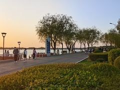 -丁香湖公园