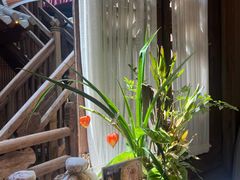 -叶叶菩提·晋福宫