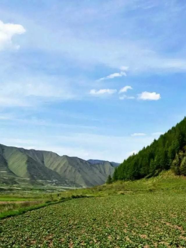 二郎山.位于岷县县城,步行即可,无门票.