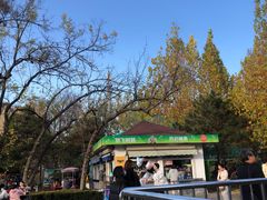 -朝阳公园游乐园