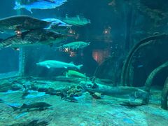 -华夏文旅海洋公园