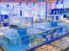 -汇丰苑·海鲜青岛菜(中山路大鲍岛店)