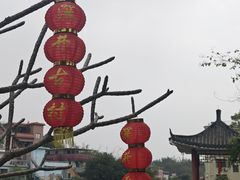 -长洲岛