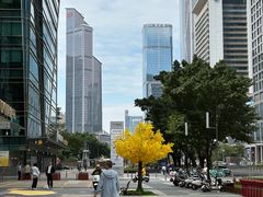 -福田卓悦INTOWN购物中心
