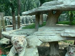 -北京野生动物园