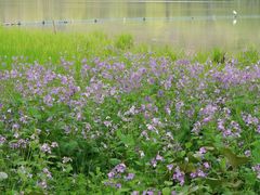 -天龙顶山地公园