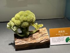 -大连自然博物馆
