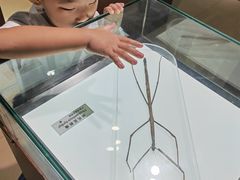 -上海昆虫博物馆