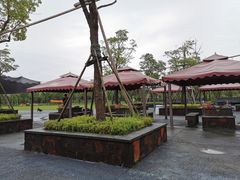 -春花秋色城市公园