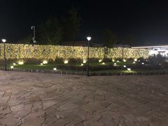 -莫子山公园