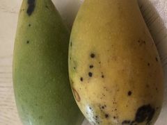 -上海龙吴水胜海发市场