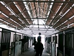 -松声马术俱乐部