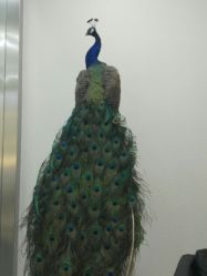 -海峡医疗美容医院