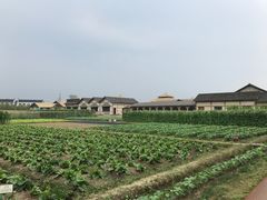 -乌村