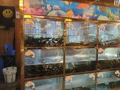 -三道苗苗鱼·美蛙黄辣丁(八里店)